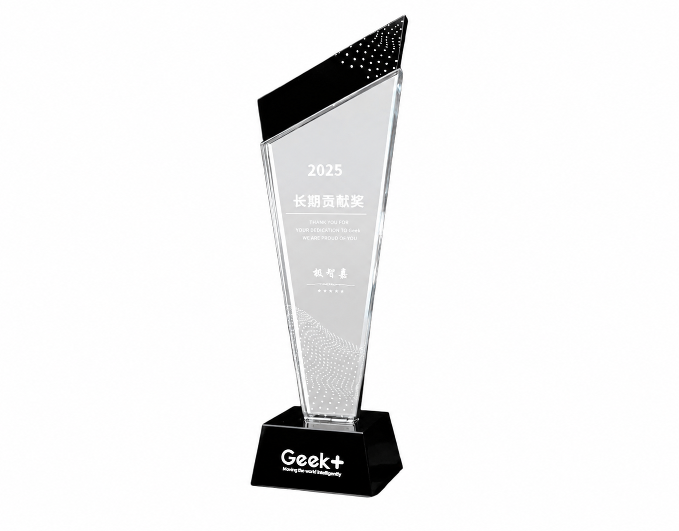 2025 GEEK+-Long-term Contribution Award.png